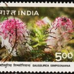 INDIA 1996 HIMALAY FLOWERS USED STAMPS