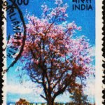 INDIA FLOWERING TREE USED STAMPS
