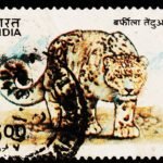 INDIA ANIMAL SNOW LEOPARD USED STAMPS #P23