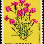 SAN MARINO FLOWERS MINT STAMPS NO GUM #A102