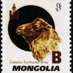 MONGOLIA 2004 DOG MINT NH STAMPS #1058