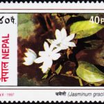 NEPAL 1997 FLOWERS MINT NH STAMPS #A401