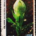 INDIA FLOWERS 2.85 Rs USED STAMPS