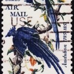 USA BIRDS USED STAMPS #3010