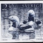 SWEDEN WATER BIRDS USED STAMPS #3010