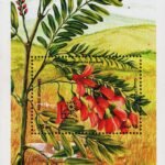 AFGHANISTAN 1985 FLORA - INTERNATIONAL STAMP EXHIBITION ARGENTINA -85 MINT NH MS #C