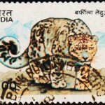 INDIA ANIMAL SNOW LEOPARD USED STAMPS