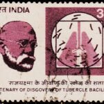INDIA DR. ROBERT KOCH - DISCOVERY OF T.B. USED STAMPS