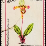 INDIA 1991 ORCHIDS USED STAMPS