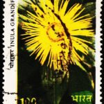 INDIA FLOWERS 1 RS USED STAMPS