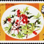DOMINICA FLOWERS 2C MINT NH STAMPS #2010