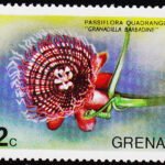 GRENADA 1975 FLOWER MINT NH STAMPS #2010