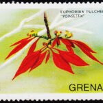 GRENADA 1975 FLOWER 2C MINT NH STAMPS #2010