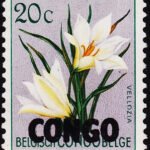 CONGO 1960 FLOWERS 20C MINT NH STAMPS #2010