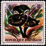 RWANDA 1980 Mushrooms MINT NH STAMPS #2011
