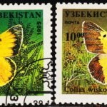 UZBEKISTAN 1995 BUTTERFLIES 2 DIFFERENT USED STAMPS CTO #2012