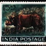 INDIA RHINO ANIMAL USED STAMPS