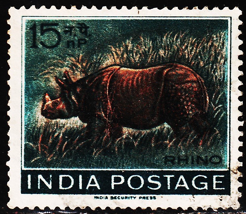 INDIA RHINO ANIMAL USED STAMPS