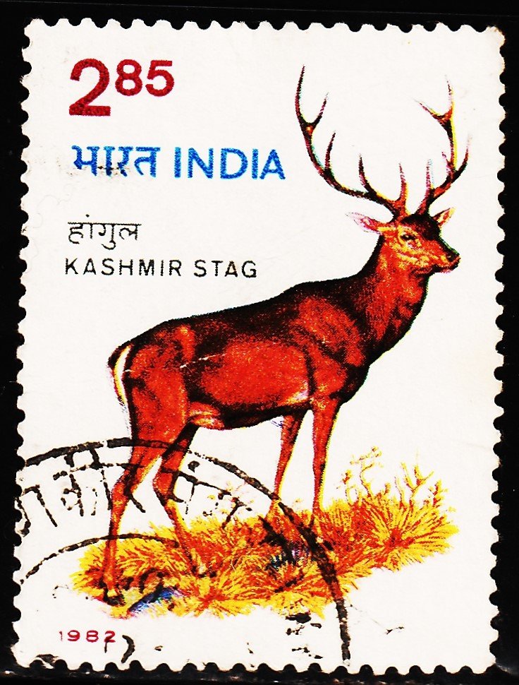 INDIA 1982 ANIMAL USED STAMPS