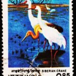INDIA BIRDS USED STAMPS