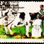 INDIA MILITARY FARMS CENTENARY USED STAMPS