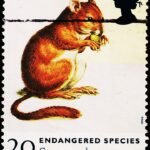GREAT BRITAIN ENDANGERED SPECIES DORMOUSE USED STAMPS #3001