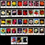 GERMANY FLOWERS 35 DIFFERENT USED STAMPS COLLECTION #3022