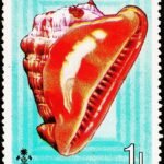 MALDIVES ISLAND SEA SHELL MINT NH STAMPS #2012
