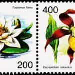 BELARUS 2001 FLOWERS - LOTUS 2V SET MINT NH STAMPS #D14