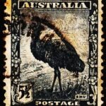 AUSTRALIA BIRDS 5-1/2D OLD USED STAMPS #2026