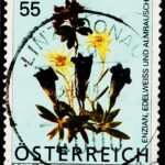 AUSTRIA FLOWERS USED STAMPS #2016
