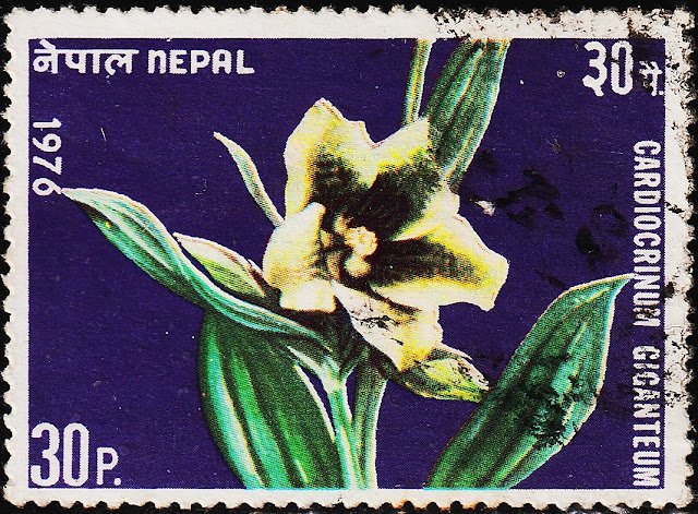 NEPAL FLOWERS USED STAMPS #P27