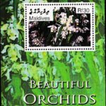 MALDIVES 2007 ORCHIDS MINT NH MINIATURE SHEET