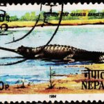 NEPAL ANIMAL USED STAMPS