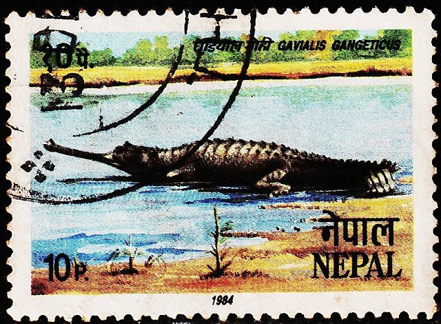 NEPAL ANIMAL USED STAMPS