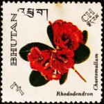 BHUTAN FLOWERS MINT STAMPS NO GUM