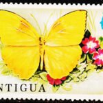 ANTIGUA BUTTERFLY MINT NH STAMPS #2015