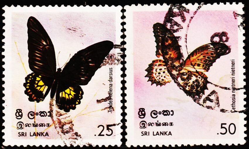 SRILANKA BUTTERFLIES 2 DIFFERENT USED STAMPS