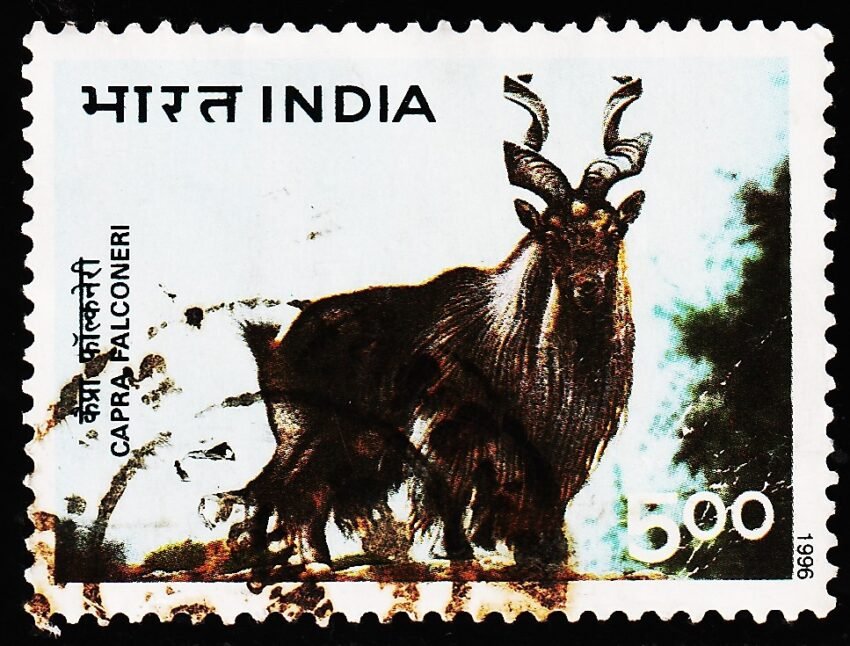 INDIA 1996 HIMALAYAN ANIMAL USED STAMPS