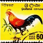 SRILANKA NATIONAL BIRDS WILDLIFE USED STAMPS