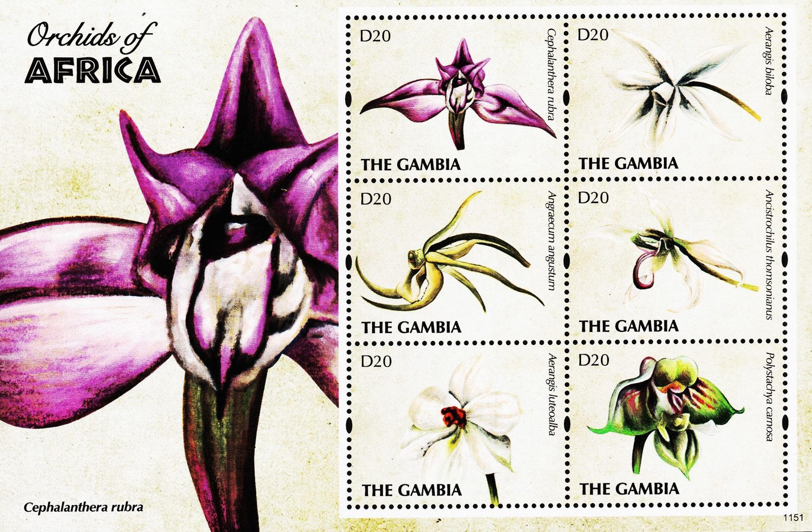 GAMBIA 2011 FLOWERS ORCHIDS MINT NH MINIATURE SHEET #C