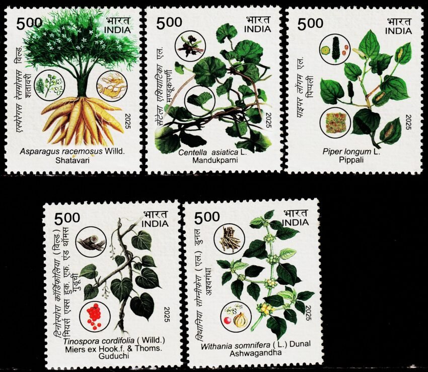 INDIA 2025 MEDICINAL PLANTS 5 DIFFERENT MINT NH STAMPS